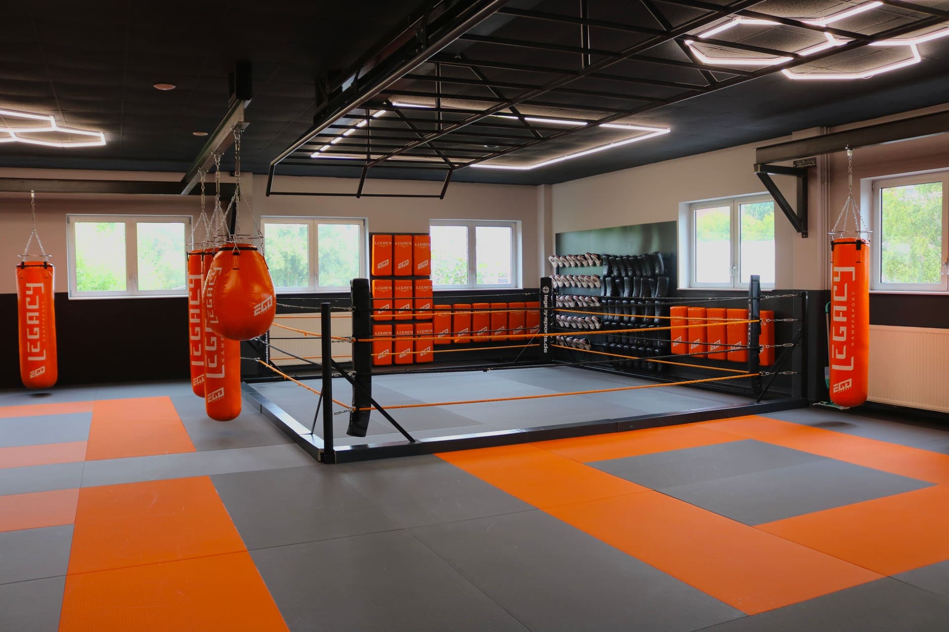 Striking-Halle mit Boxring, Sandsäcken und Calisthenics-Konstruktion an der Decke, Legacy Kampfsport Pinneberg