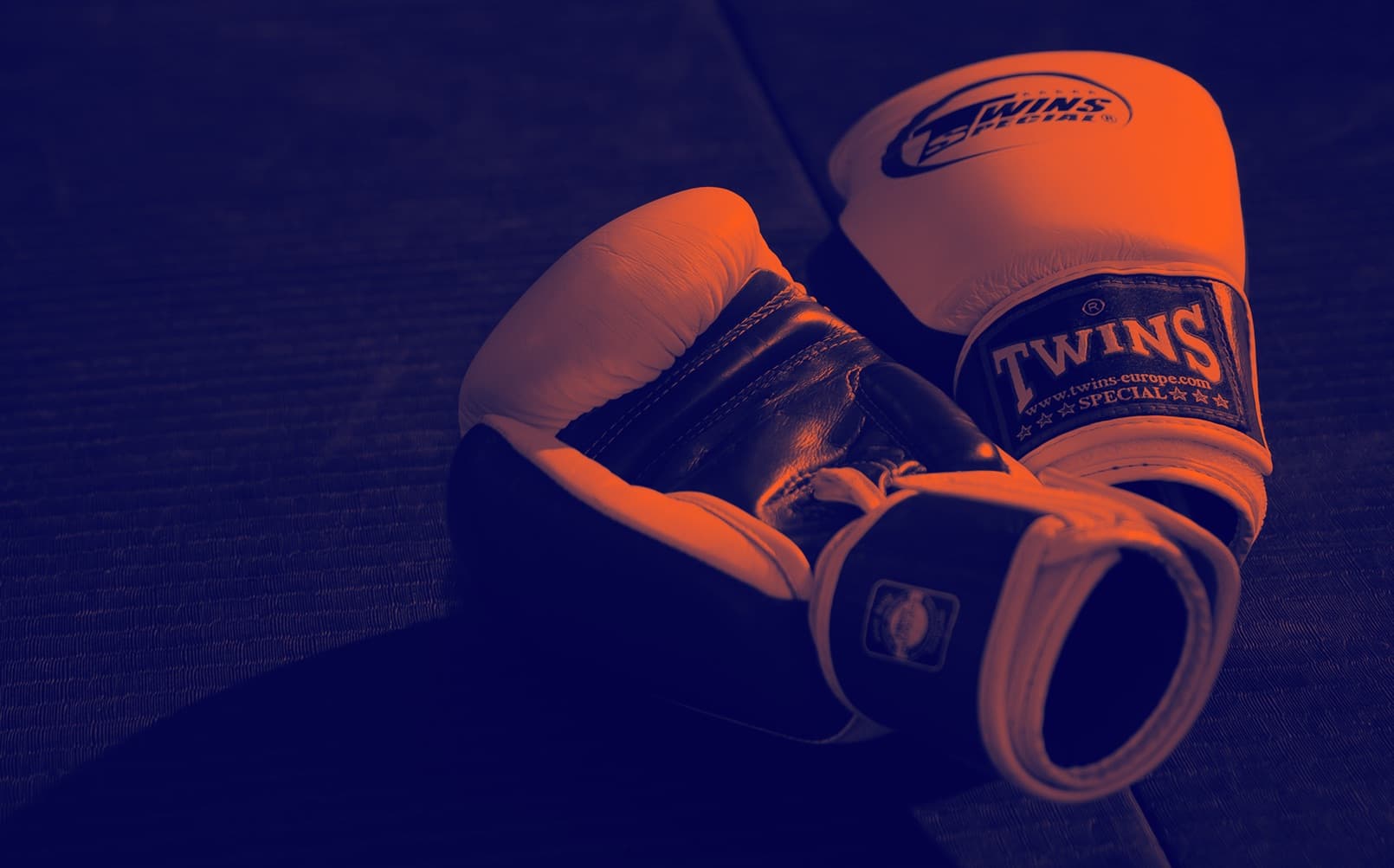 Preise & Mitgliedschaften – Legacy Kampfsport Pinneberg